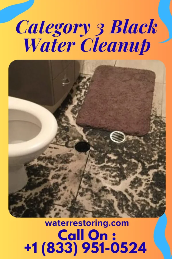 Category 3 Black Water Cleanup in Carlisle, IN